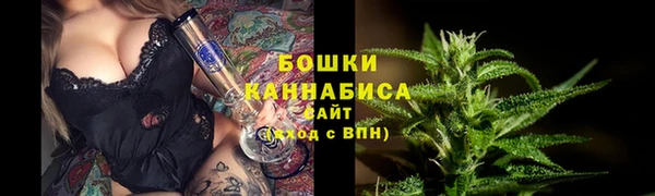 spice Карпинск