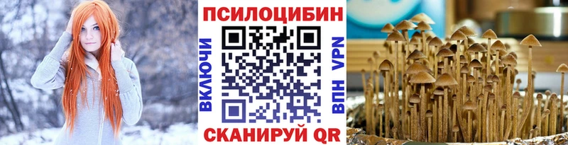 Псилоцибиновые грибы Psilocybe  Оренбург 