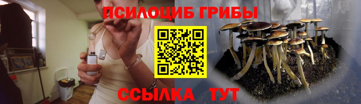 Псилоцибиновые грибы мухоморы Оренбург